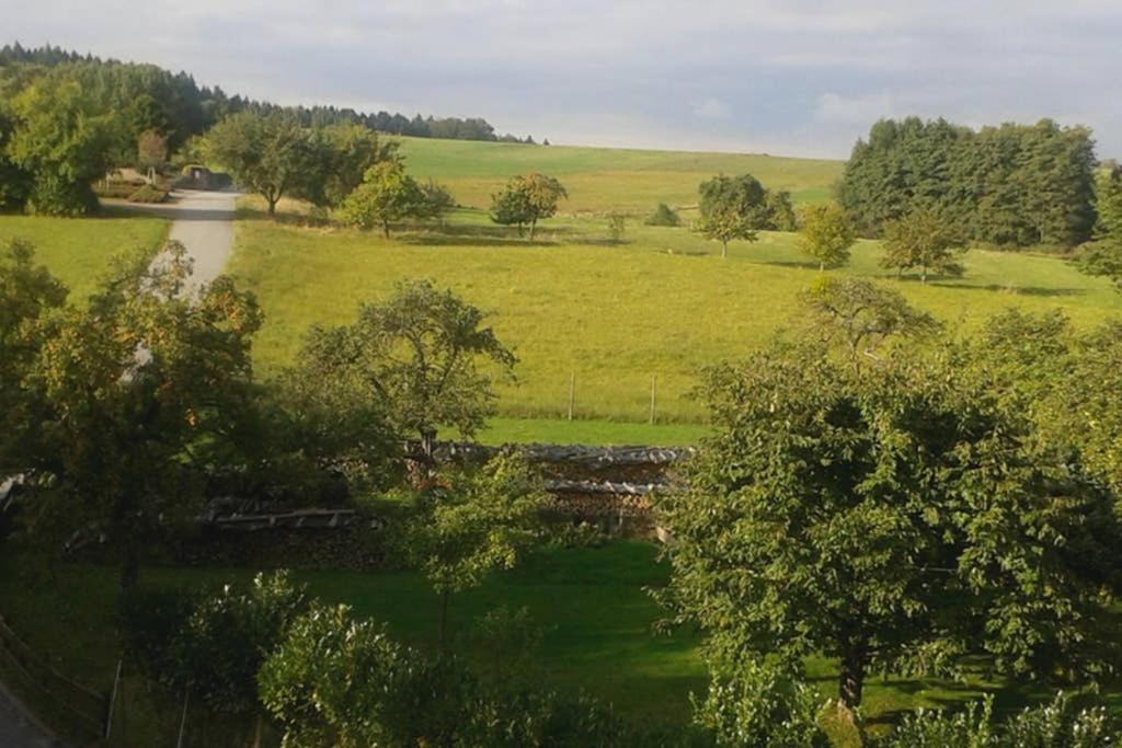 Anna - Neue Ferienwohnung Mit Blick Ins Gruene Ober-Abtsteinach Esterno foto