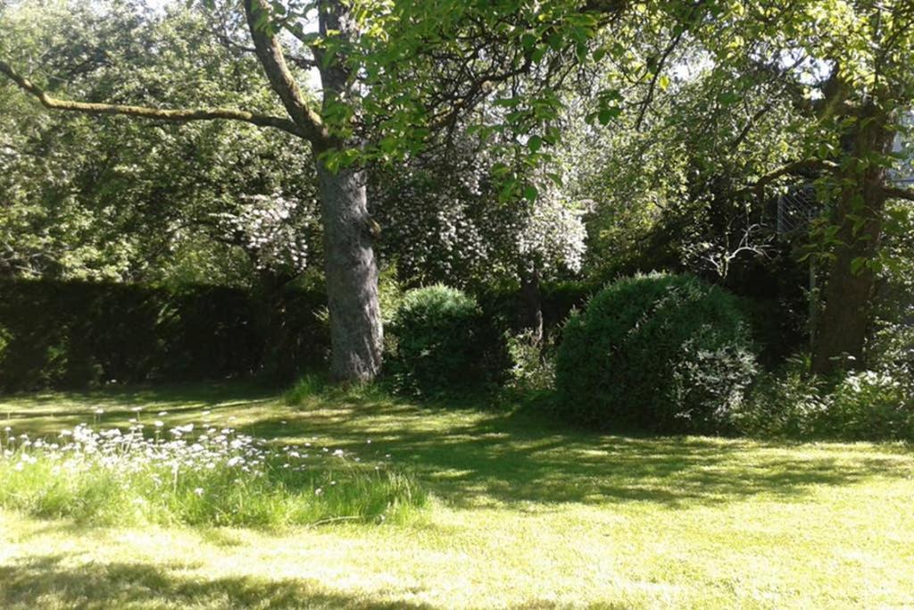 Anna - Neue Ferienwohnung Mit Blick Ins Gruene Ober-Abtsteinach Esterno foto