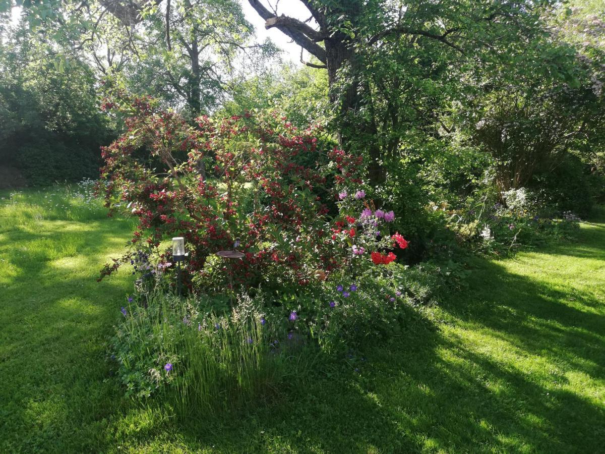 Anna - Neue Ferienwohnung Mit Blick Ins Gruene Ober-Abtsteinach Esterno foto
