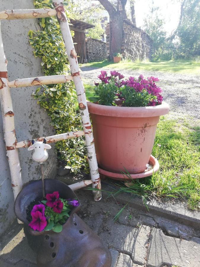 Anna - Neue Ferienwohnung Mit Blick Ins Gruene Ober-Abtsteinach Esterno foto