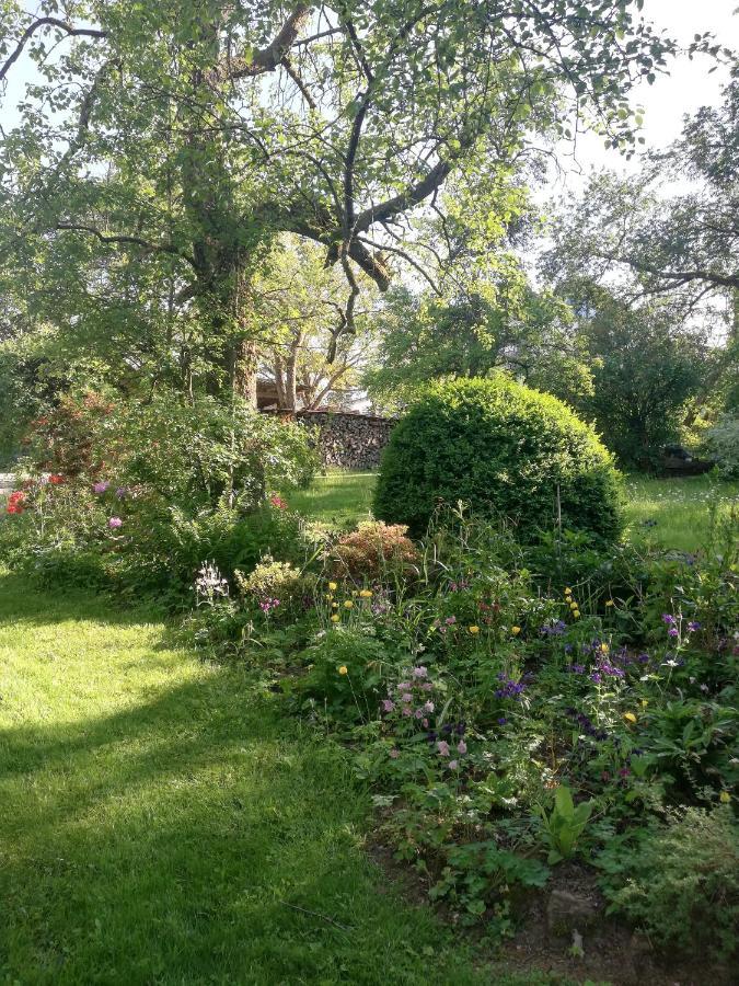 Anna - Neue Ferienwohnung Mit Blick Ins Gruene Ober-Abtsteinach Esterno foto